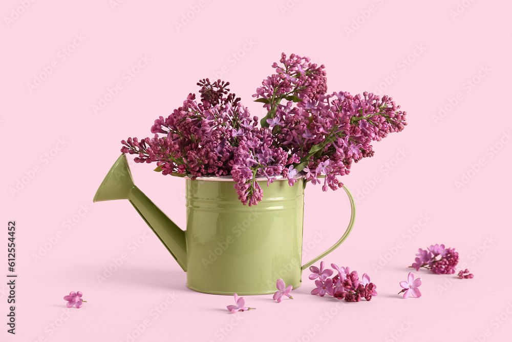 Watering can with lilac twigs on pink background