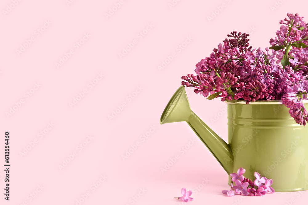 Watering can with lilac twigs on pink background