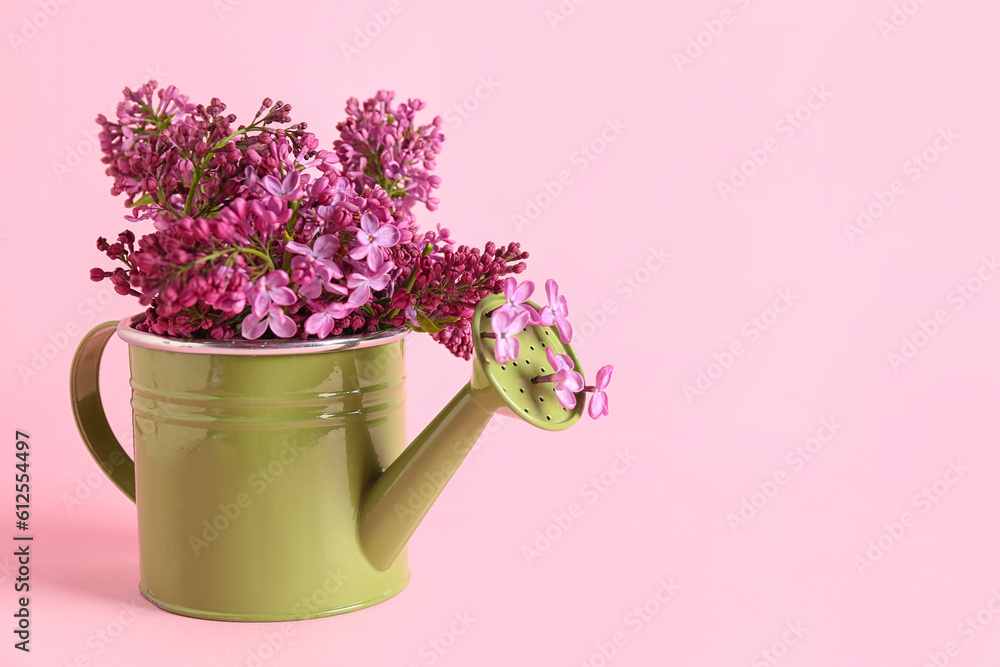 Watering can with lilac twigs on pink background