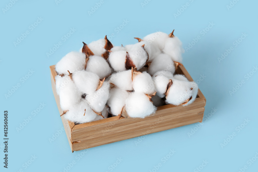 Cotton flowers in crate on blue table