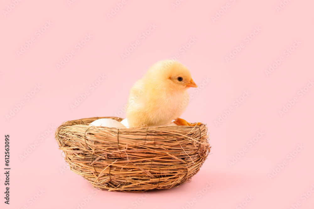 Nest with eggs and cute little chick on pink background