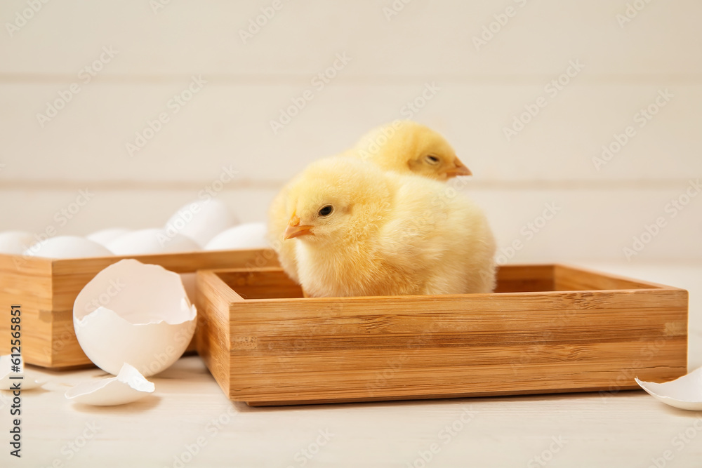 Wooden boxes with cute little chicks and eggs on white table