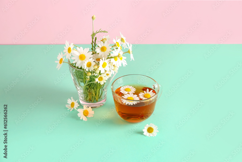 Cups of natural chamomile tea and flowers on turquoise table near pink wall