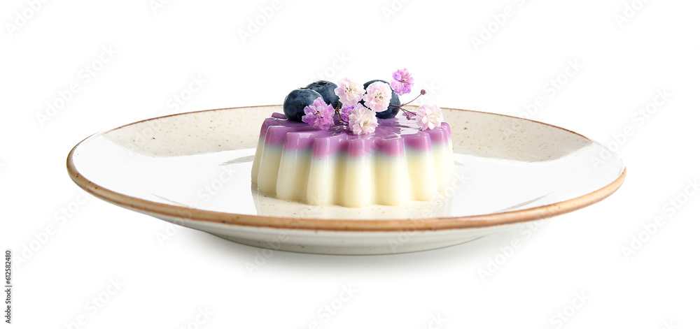 Plate of panna cotta with blueberry and beautiful gypsophila flowers on white background