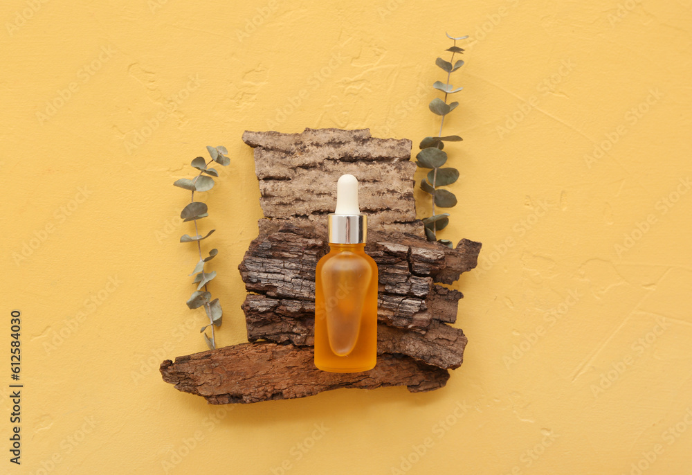 Composition with bottle of essential oil, tree bark and eucalyptus branches on color background