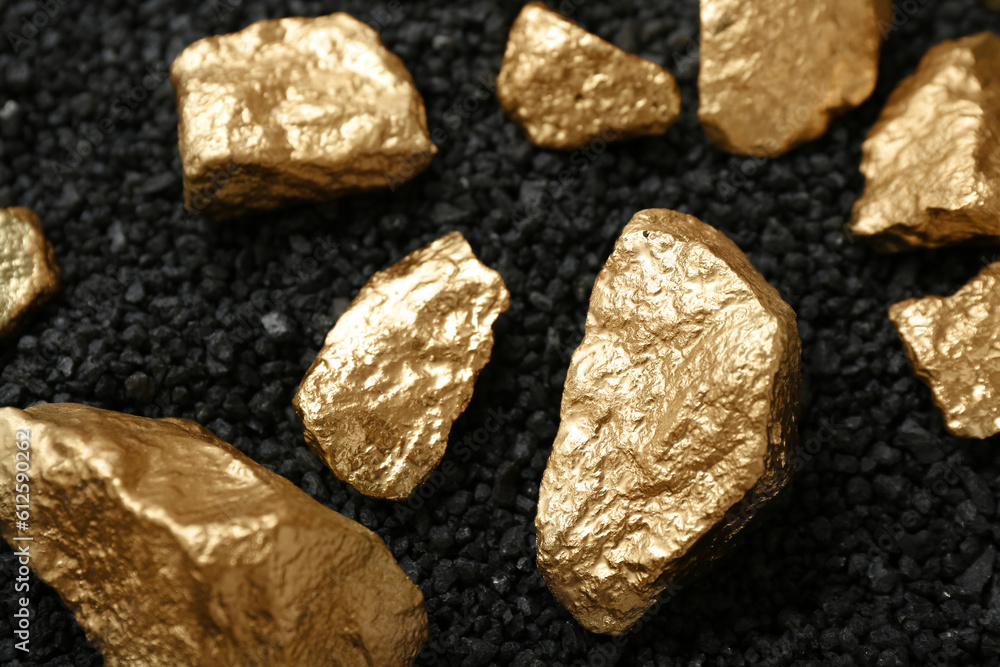 Golden nuggets on black coal, closeup