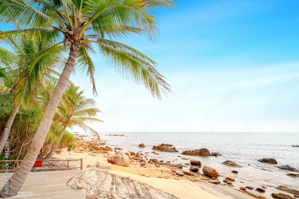 Summer beach landscape