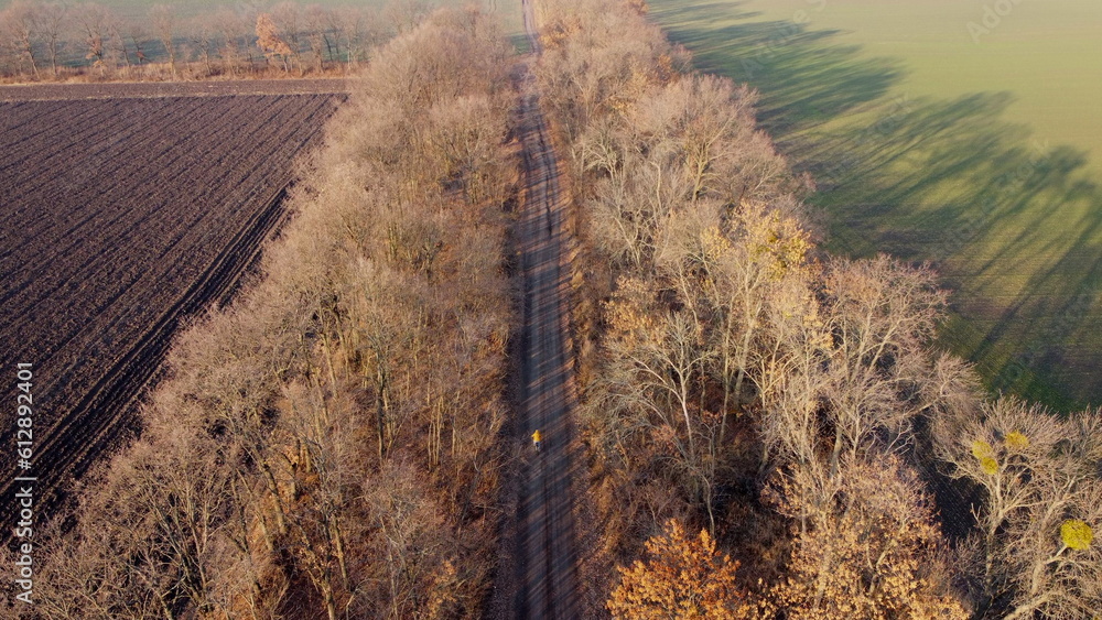 Woman in yellow jacket rides a bicycle on black dirt road between trees and agricultural fields on s