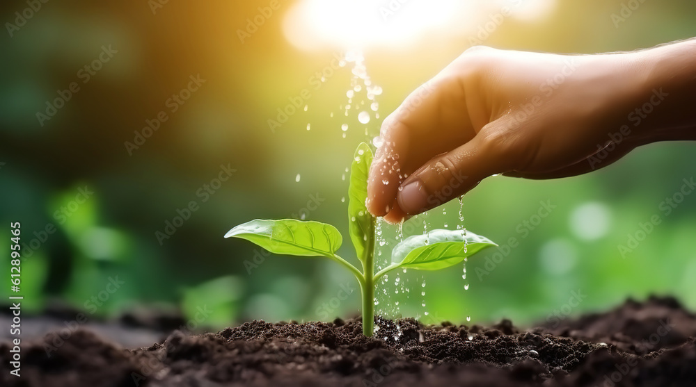 The concept of caring for a plant with one hand in a green background, natural plant seeding and gro