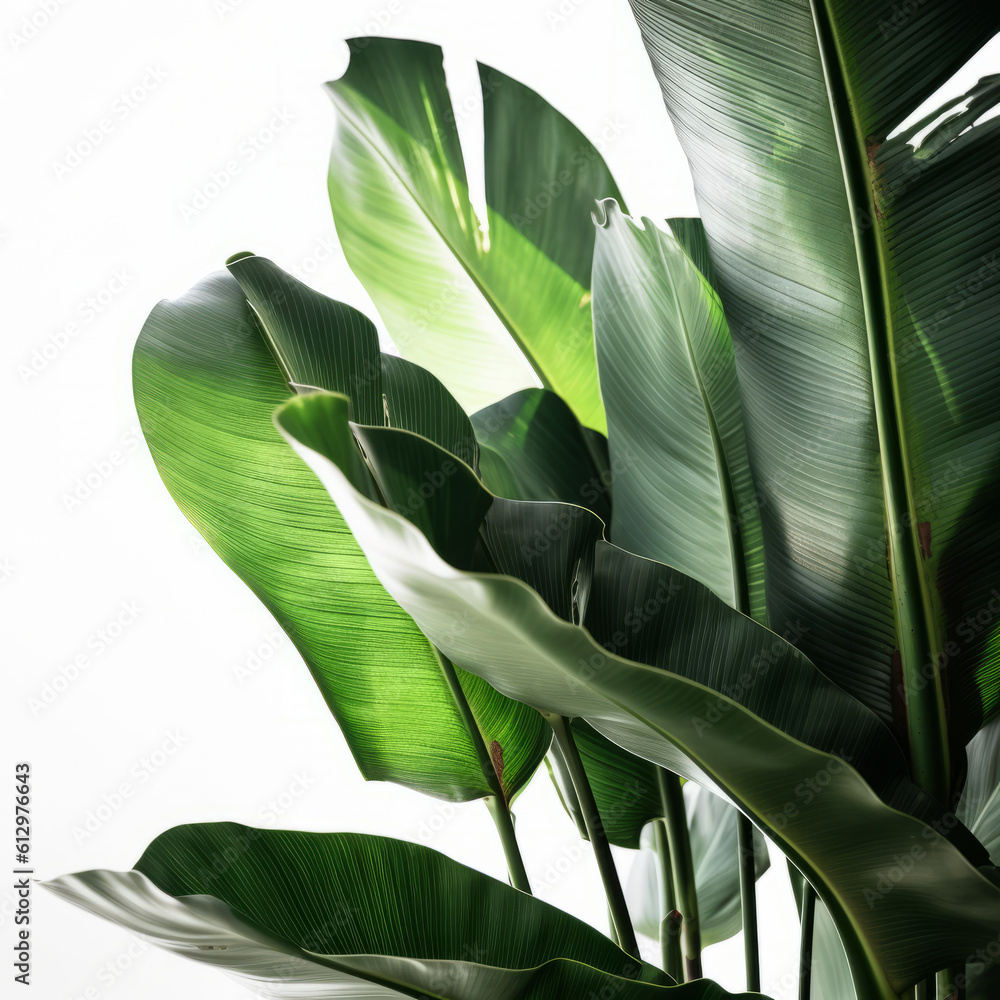 Banana leaves background. Illustration AI Generative.