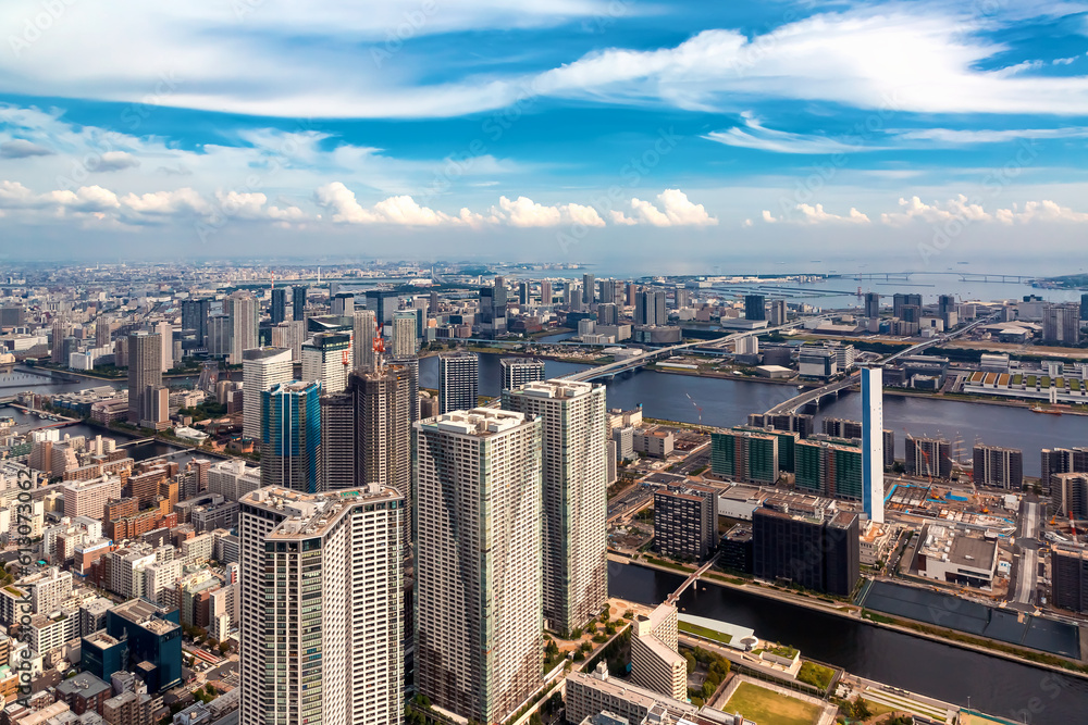 Aerial view of Odaiba Harbor in Minato City, Tokyo, Japan