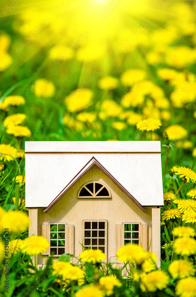 The symbol of the house stands among the yellow dandelions 