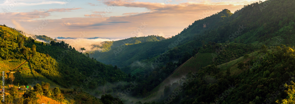 landscape and sky background