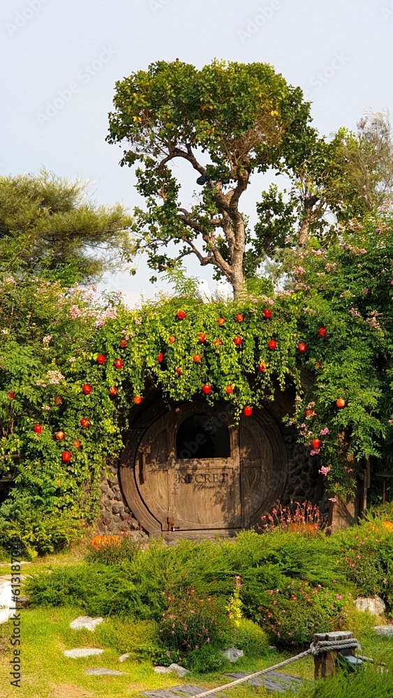 tree in the park