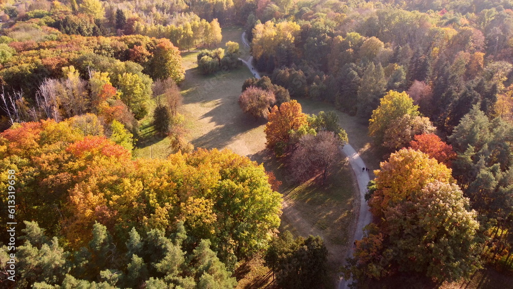 Flying over trees with yellow and green leaves in a park with dirt paths and people walking on a sun