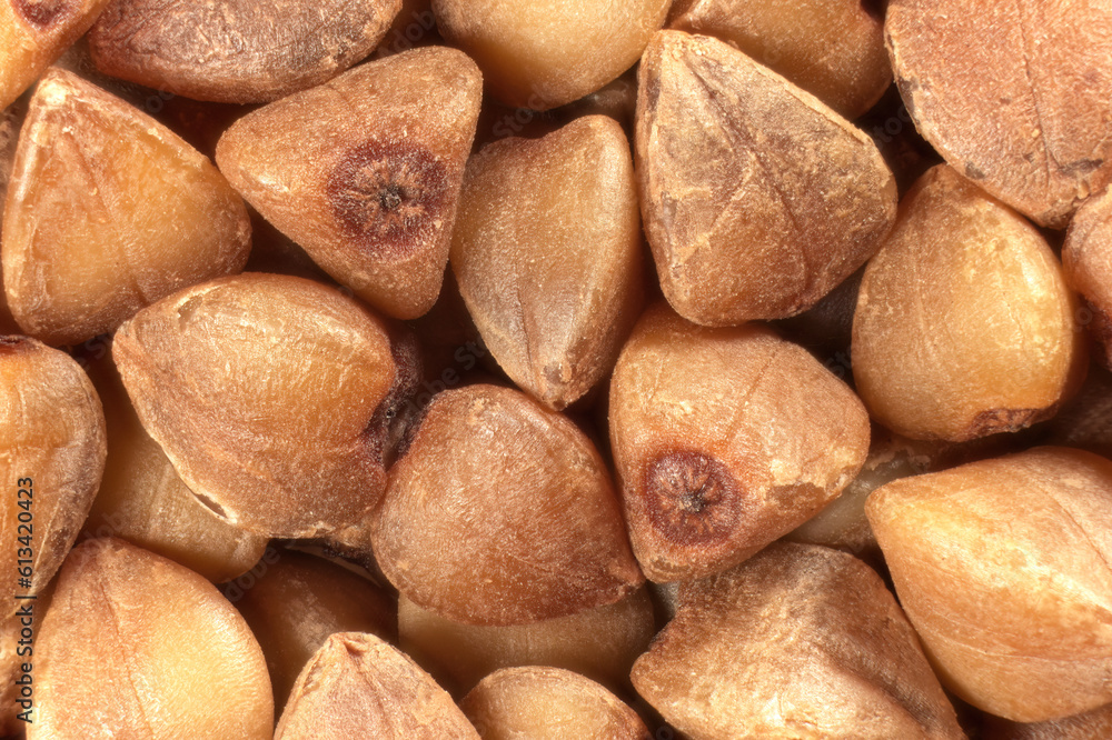 Close up of buckwheat grains. Dry buckwheat background, top view. Macro focus stacking