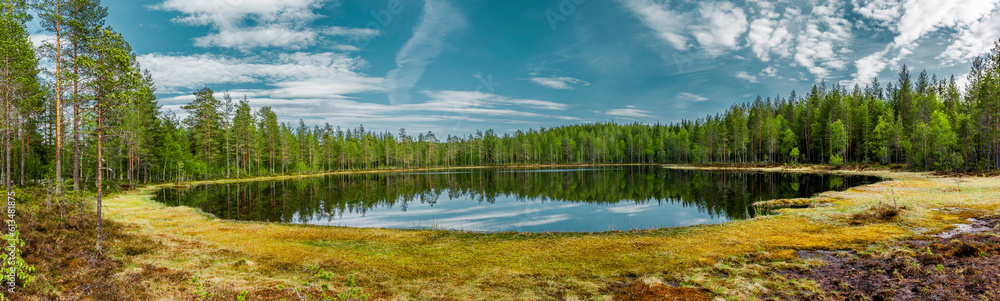 Spiegelung in einem Waldsee in Skandinavien