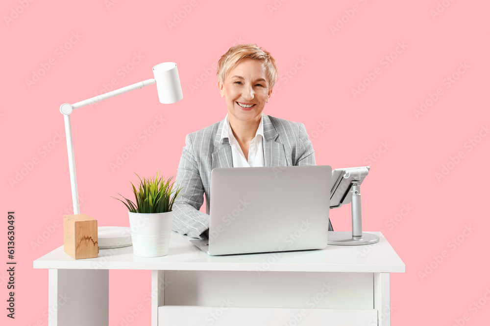 Mature female programmer working with laptop at table on pink background