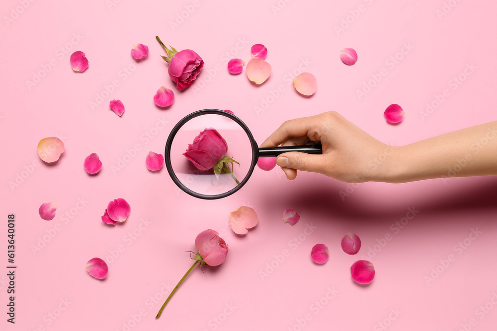 Female hand with magnifier and rose petals on pink background