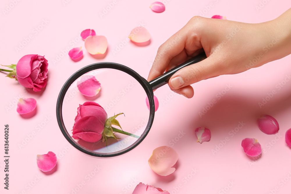 Female hand with magnifier and rose petals on pink background