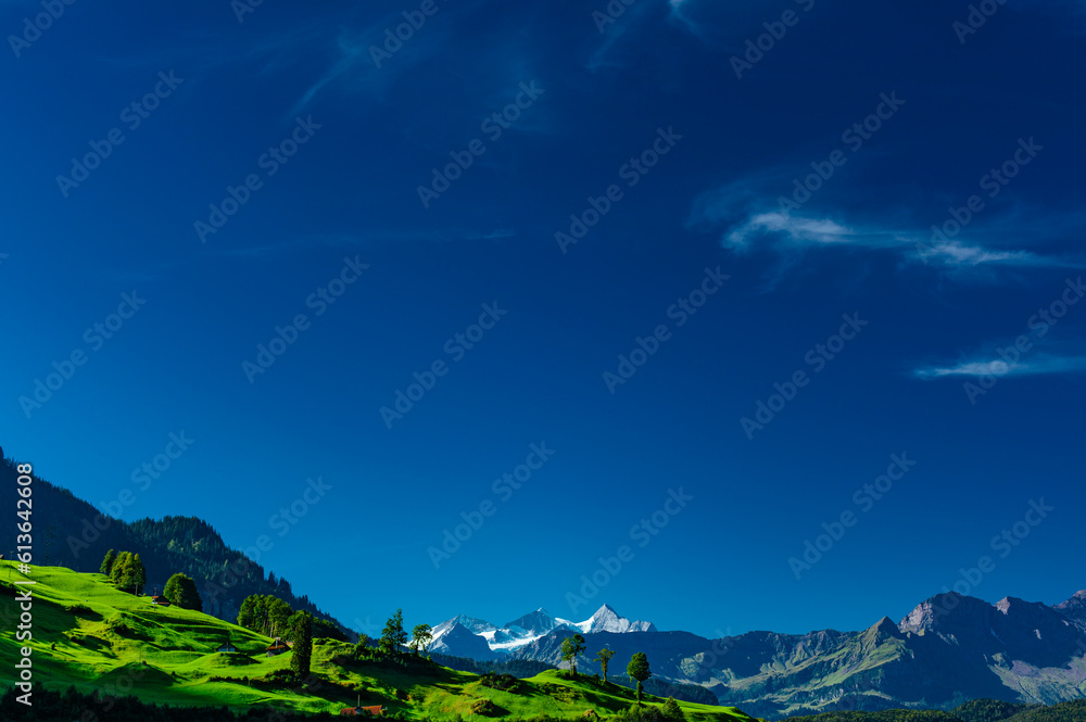 Alps high mountains with snow, grass and trees