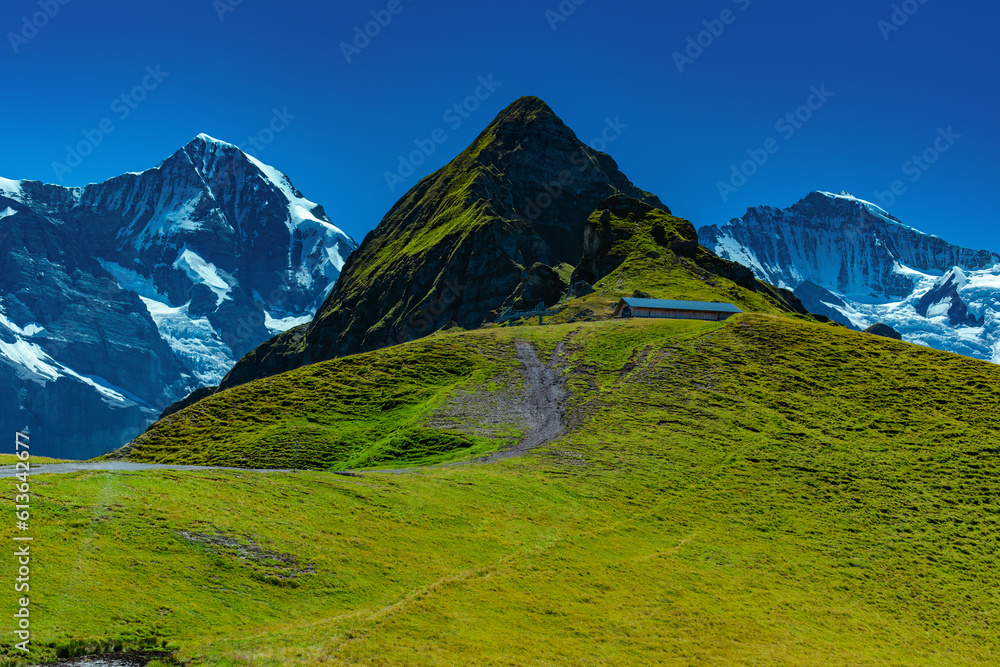 Mannlichen mountain pass, Swiss Alps in summer