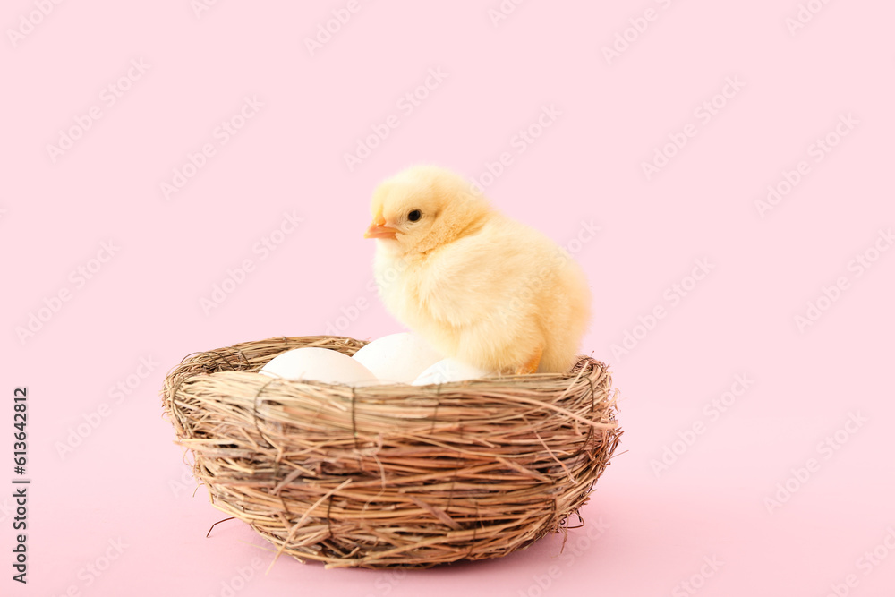 Nest with eggs and cute little chick on pink background