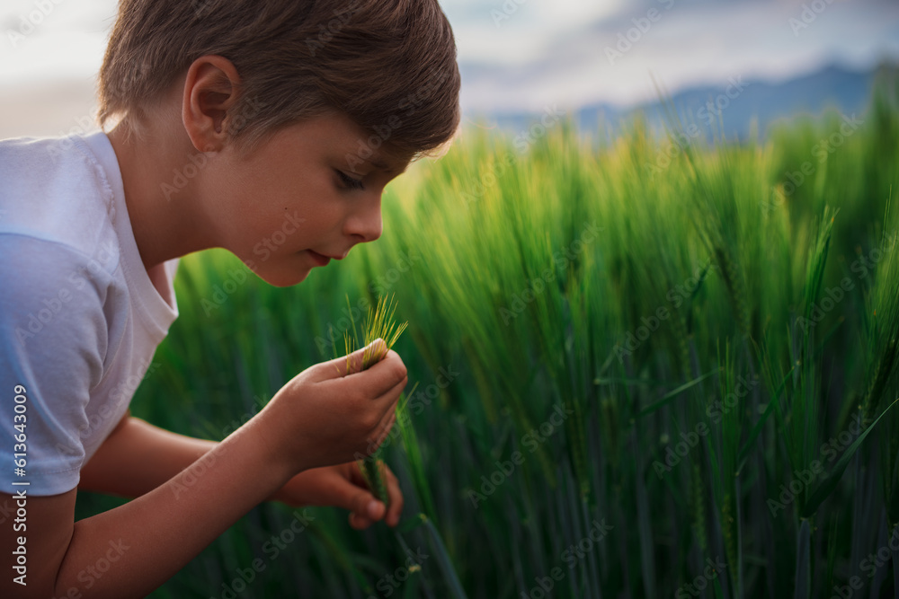 Portrait of cute boy with spike of a grain plant in a field