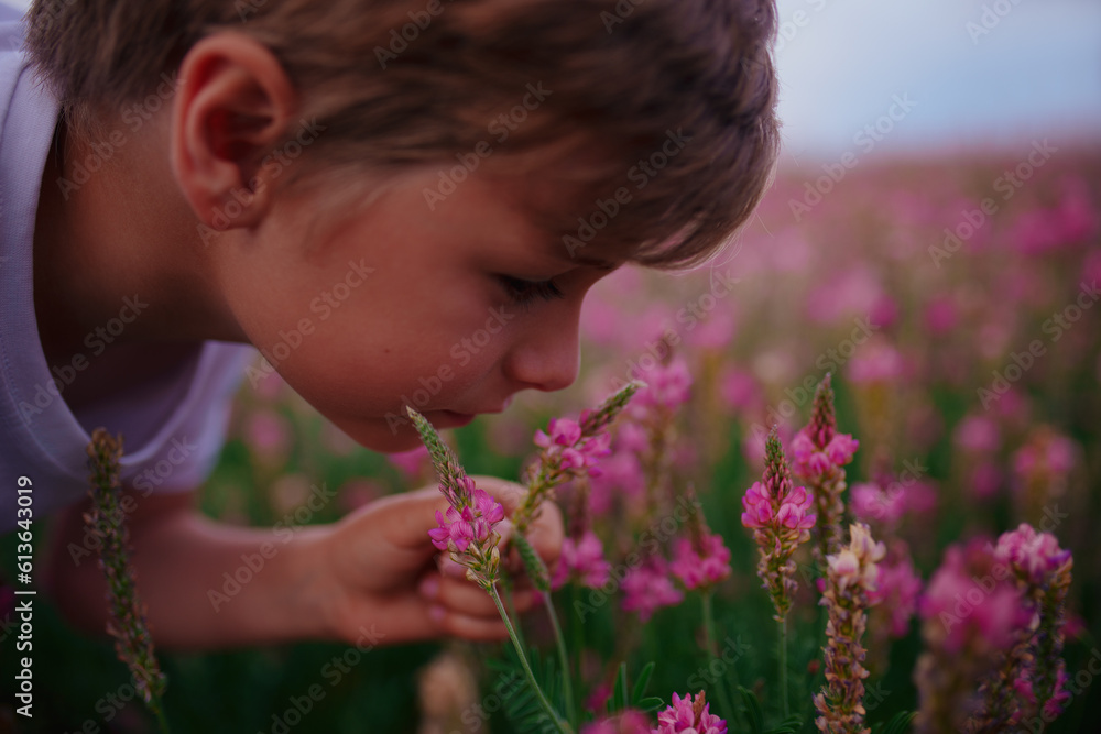 Portrait of boy sniffing pink flowers in the meadow