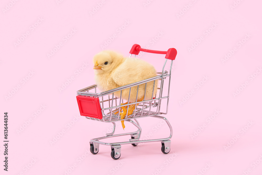 Shopping cart with cute little chick on pink background