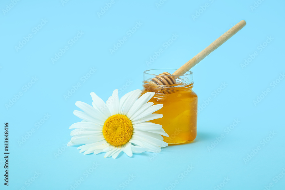 Jar of honey and chamomile flower on color background