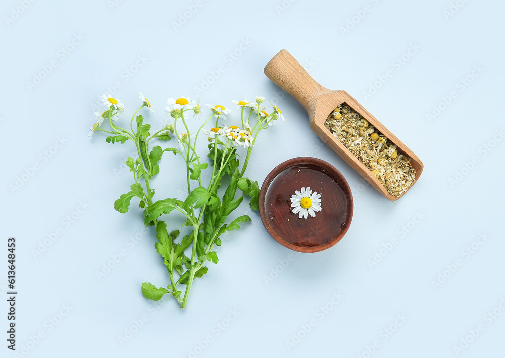 Bowl of honey, dried and fresh chamomile flowers on color background