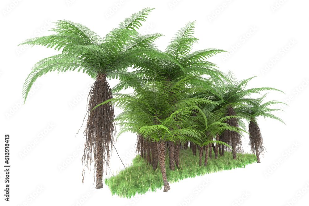 Tropical island on transparent background. 3d rendering - illustration