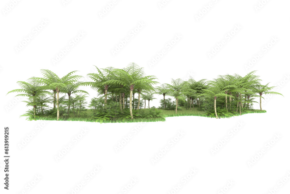 Tropical island on transparent background. 3d rendering - illustration