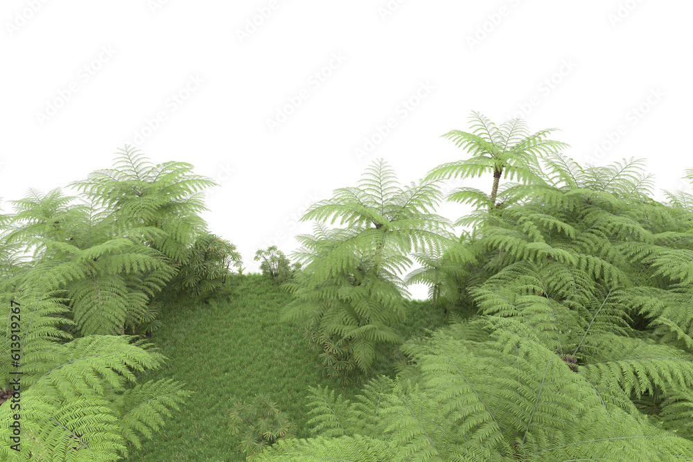 Tropical island on transparent background. 3d rendering - illustration