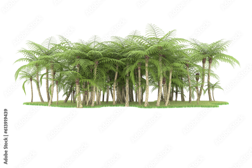 Tropical island on transparent background. 3d rendering - illustration