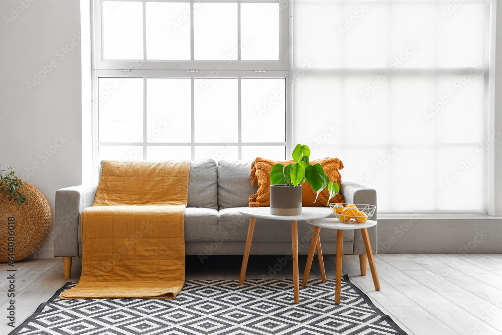 Interior of bright living room with cozy sofa and coffee table near big window