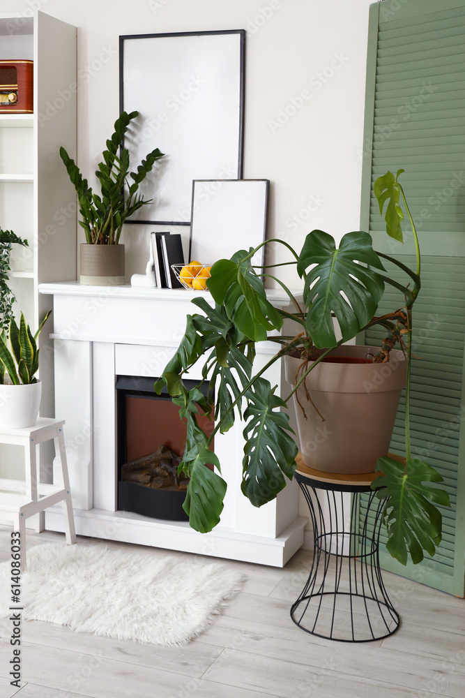 Interior of living room with fireplace, shelving unit and houseplants