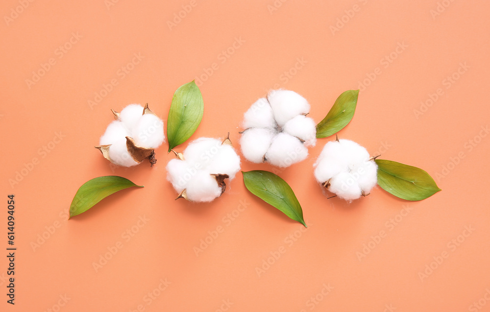 Cotton flowers and plant leaves on orange background