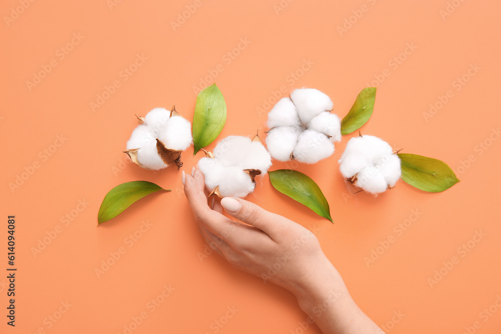 Woman hand with cotton flowers and leaves on orange background