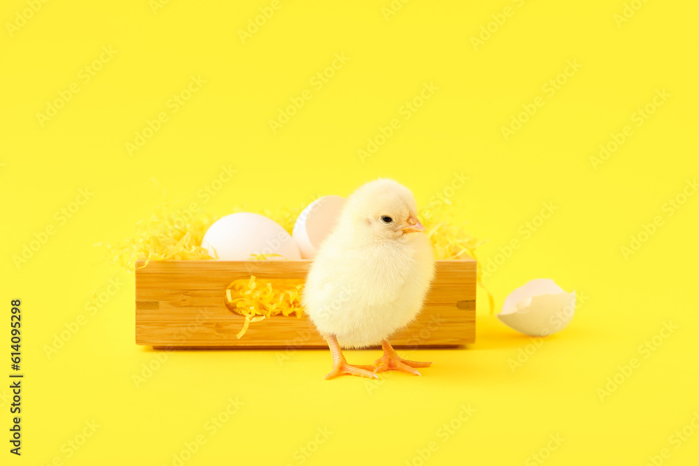 Wooden box with cute little chick and eggs on yellow background