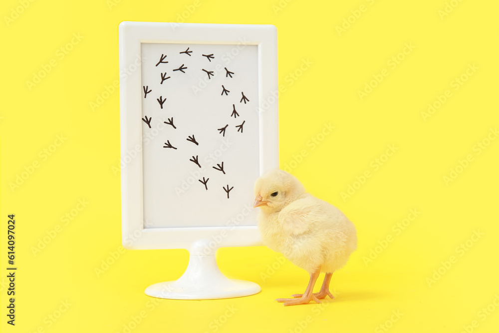 Frame with bird prints and cute little chick on yellow background