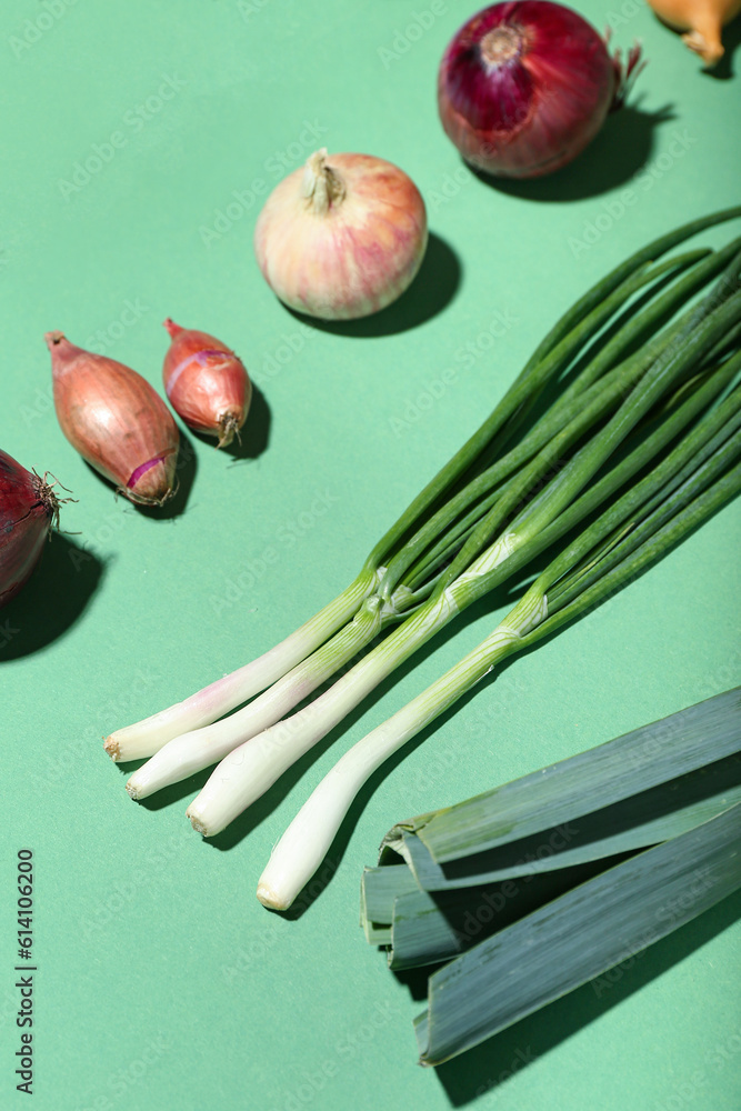 Different kinds of onion on green background