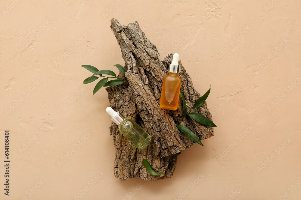 Bottles of essential oil, tree bark and plant leaves on color background