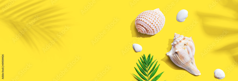 Summer concept with seashells and a palm leaf overhead view - flat lay