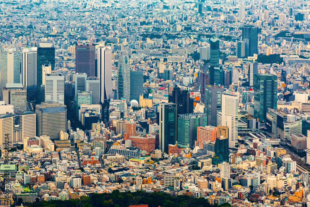 Aerial view of the skysrapers of Shinjuku, Tokyo, Japan