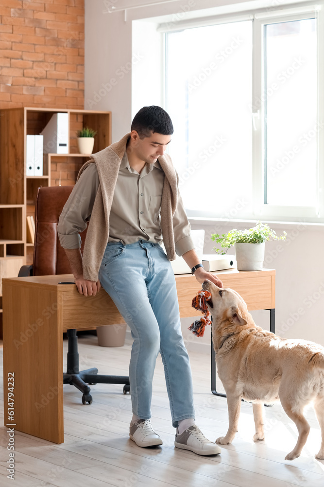 Young man playing with cute Labrador dog in office