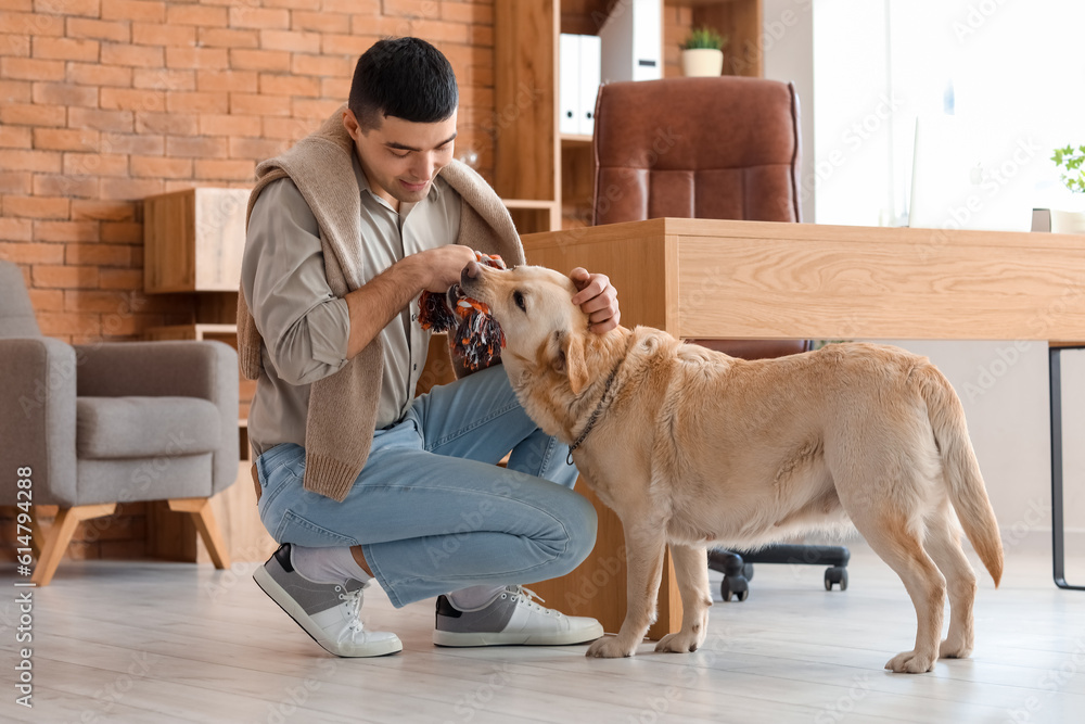 Young man playing with cute Labrador dog in office