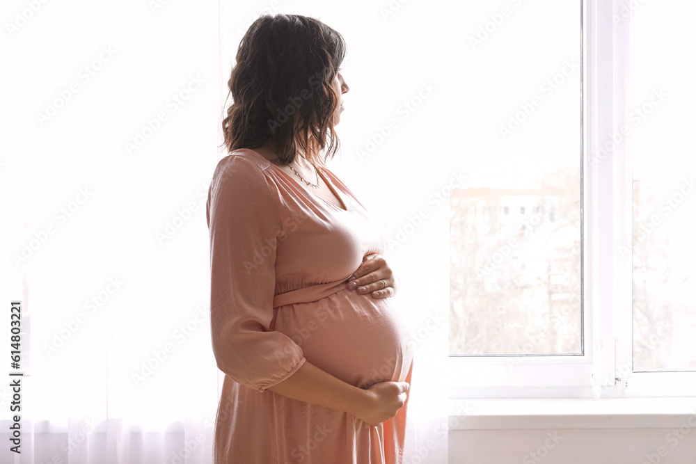 Young pregnant woman near window at home