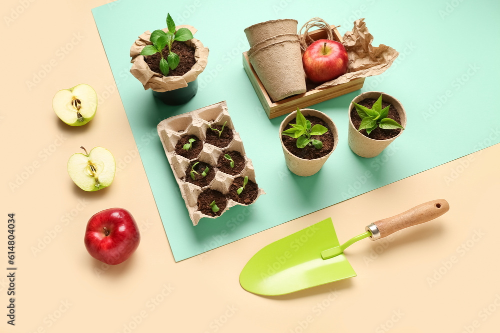 Peat pots with green seedlings, apples and shovel on color background